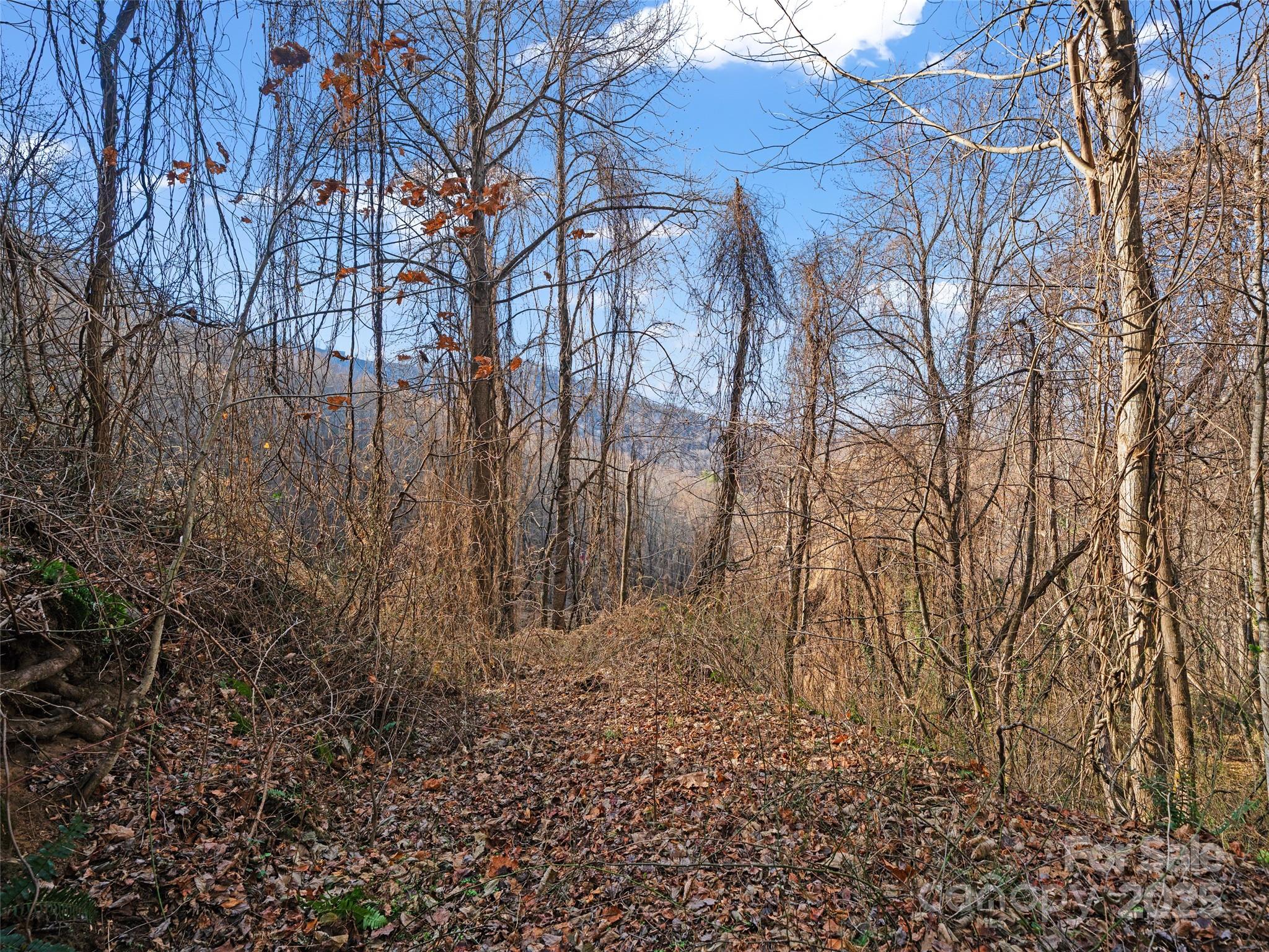 99999 Flora Rose Trail Asheville NC 28803