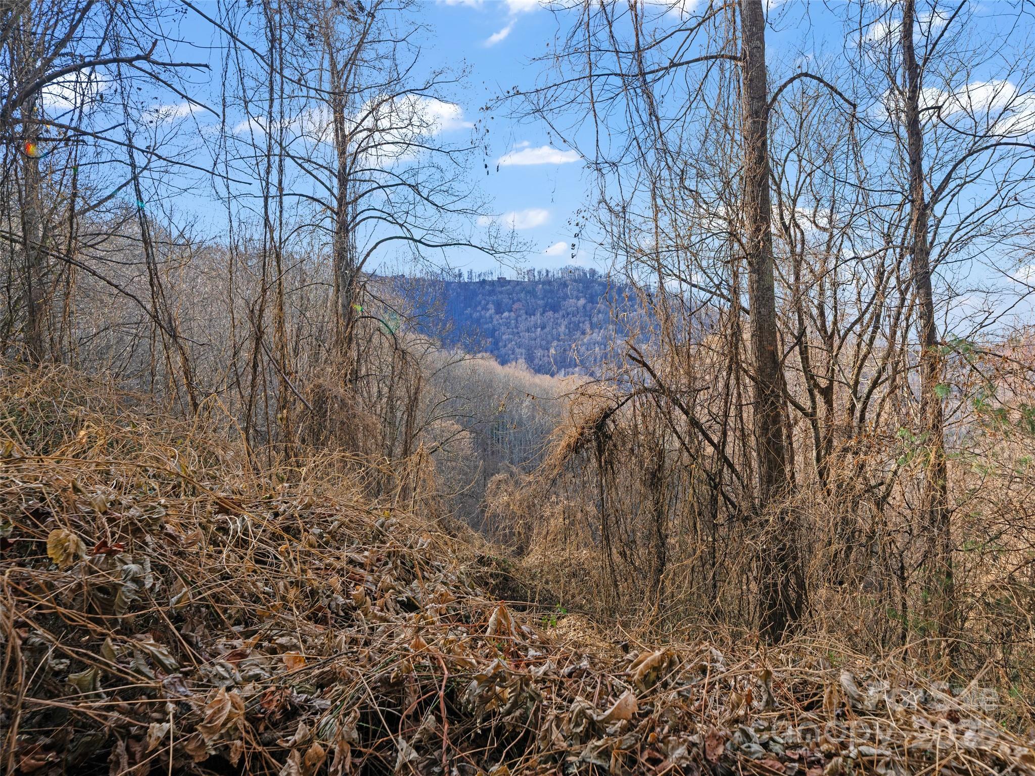 99999 Flora Rose Trail Asheville NC 28803