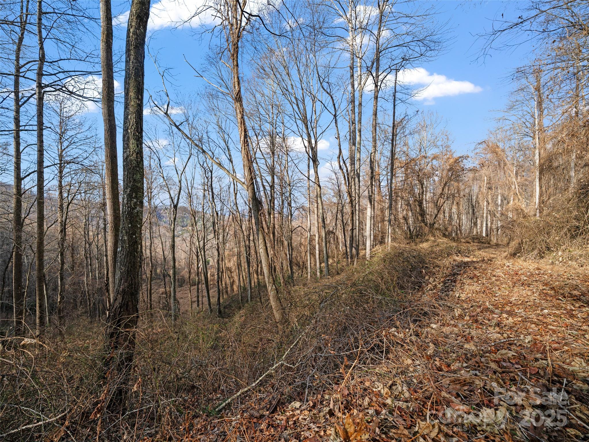 99999 Flora Rose Trail Asheville NC 28803