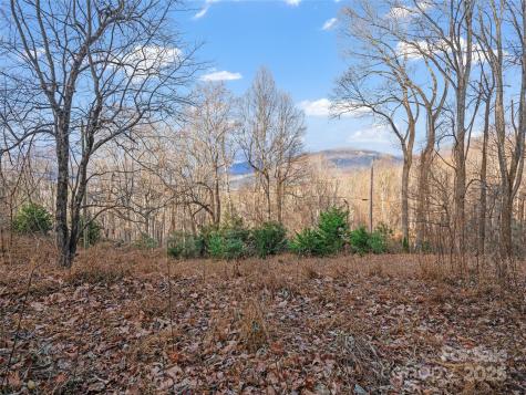 99999 Flora Rose Trail Asheville NC 28803
