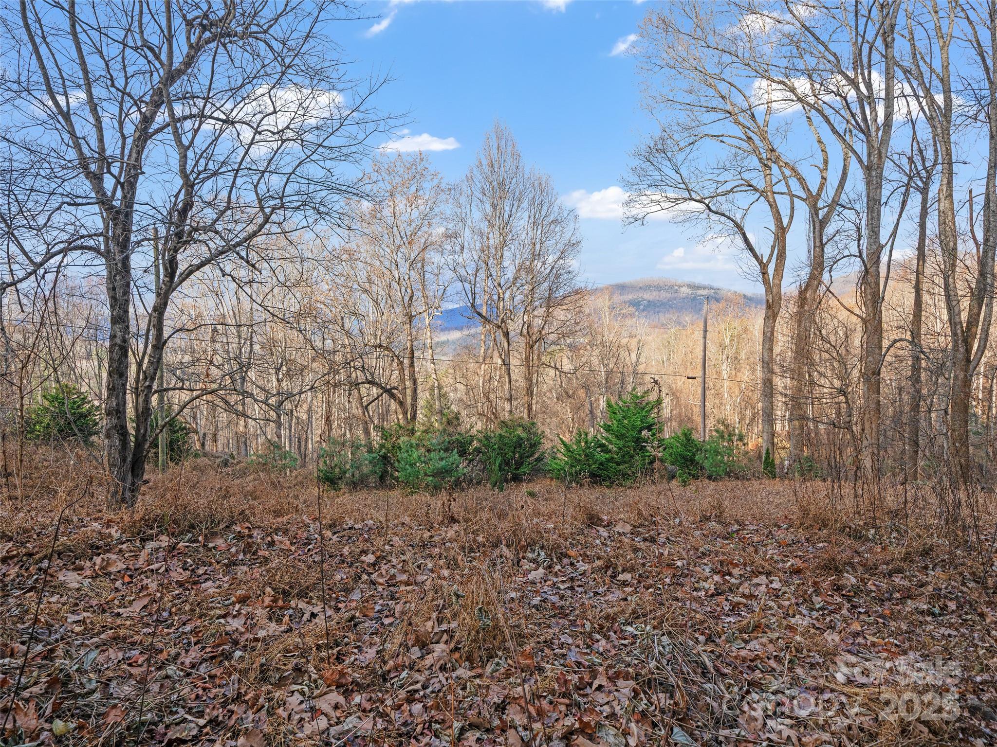 99999 Flora Rose Trail Asheville NC 28803