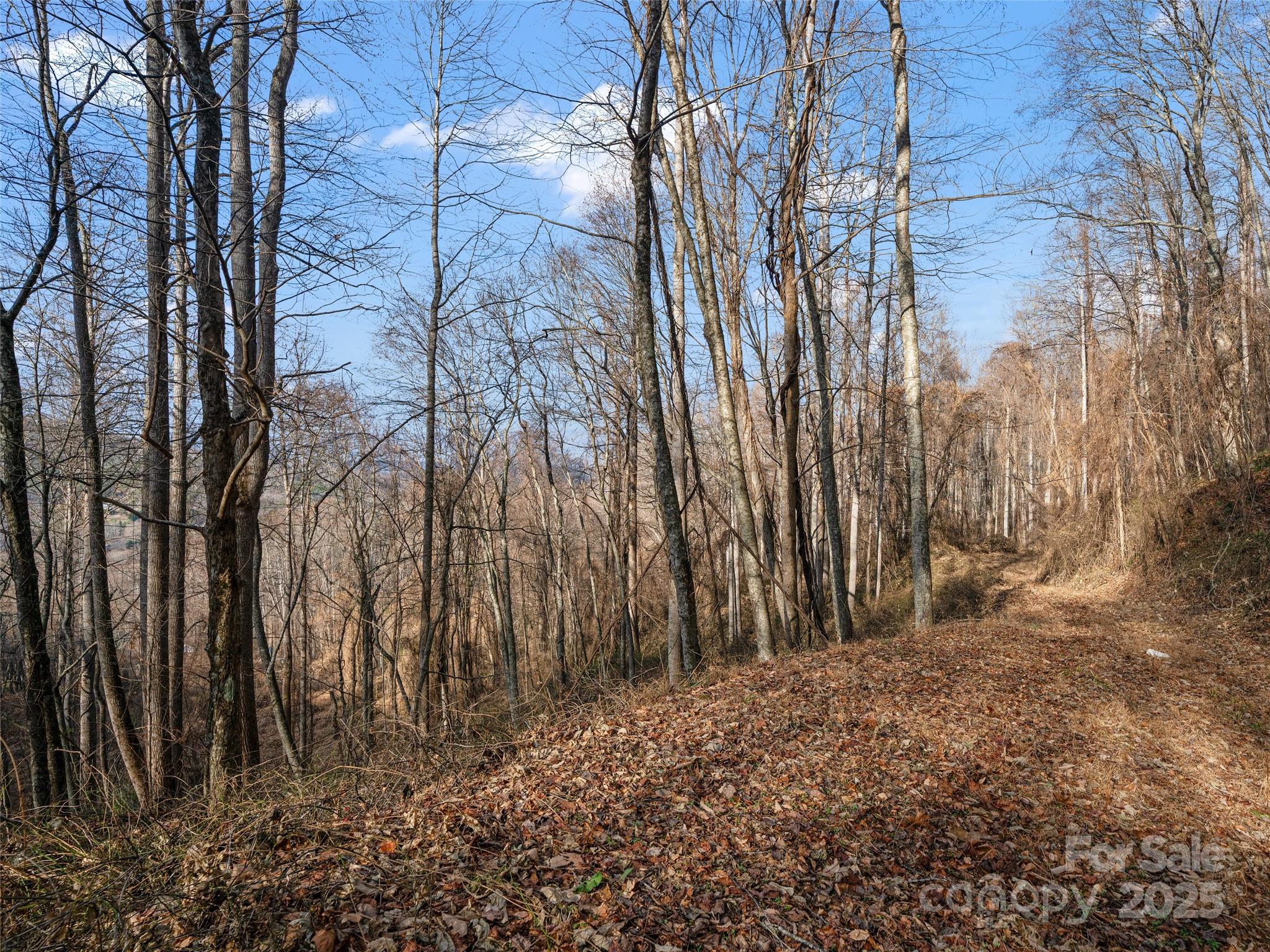 99999 Flora Rose Trail Asheville NC 28803