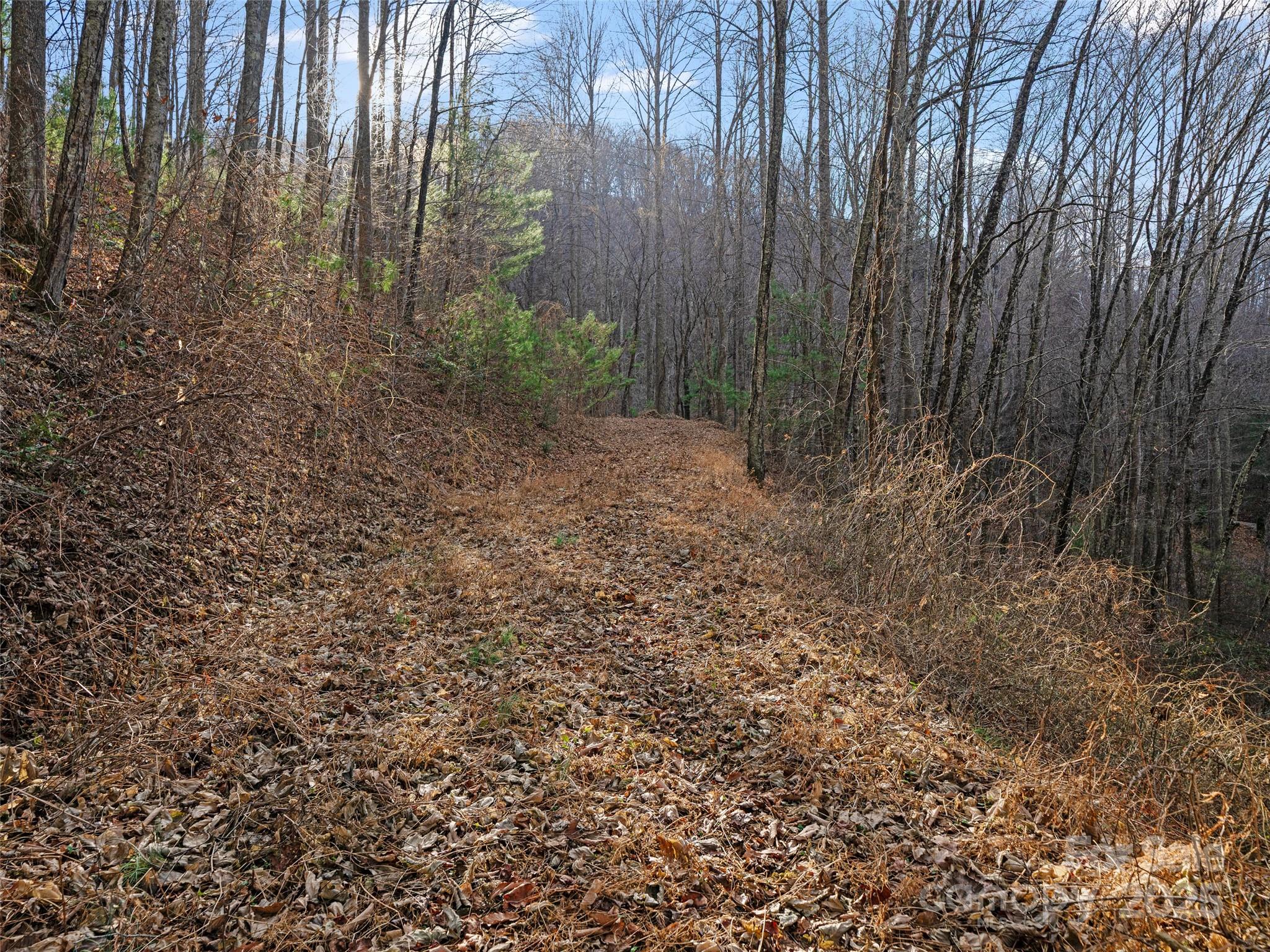 99999 Flora Rose Trail Asheville NC 28803
