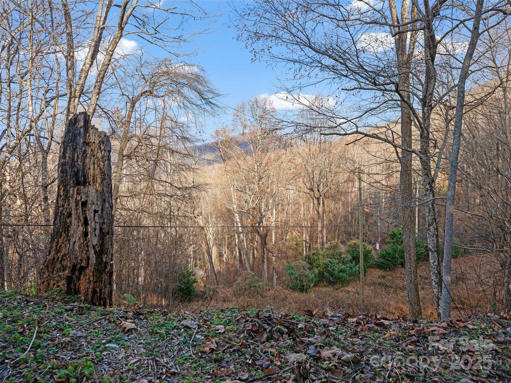 99999 Flora Rose Trail Asheville NC 28803