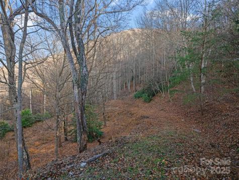 99999 Flora Rose Trail Asheville NC 28803