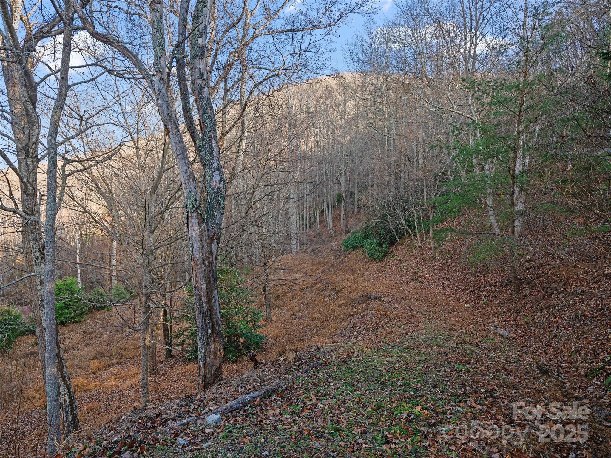 99999 Flora Rose Trail Asheville NC 28803