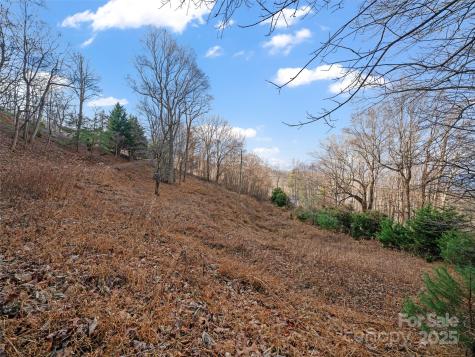 99999 Flora Rose Trail Asheville NC 28803