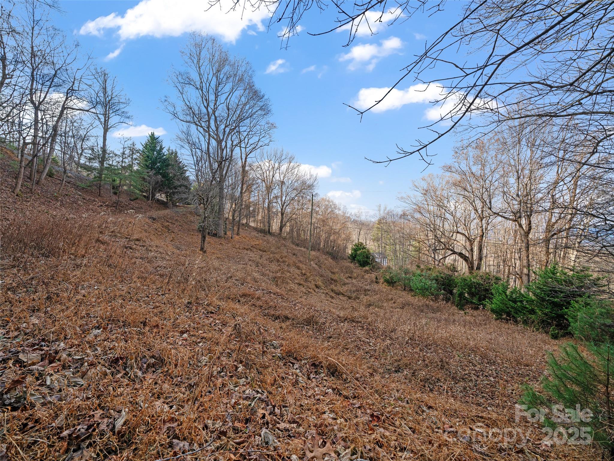 99999 Flora Rose Trail Asheville NC 28803