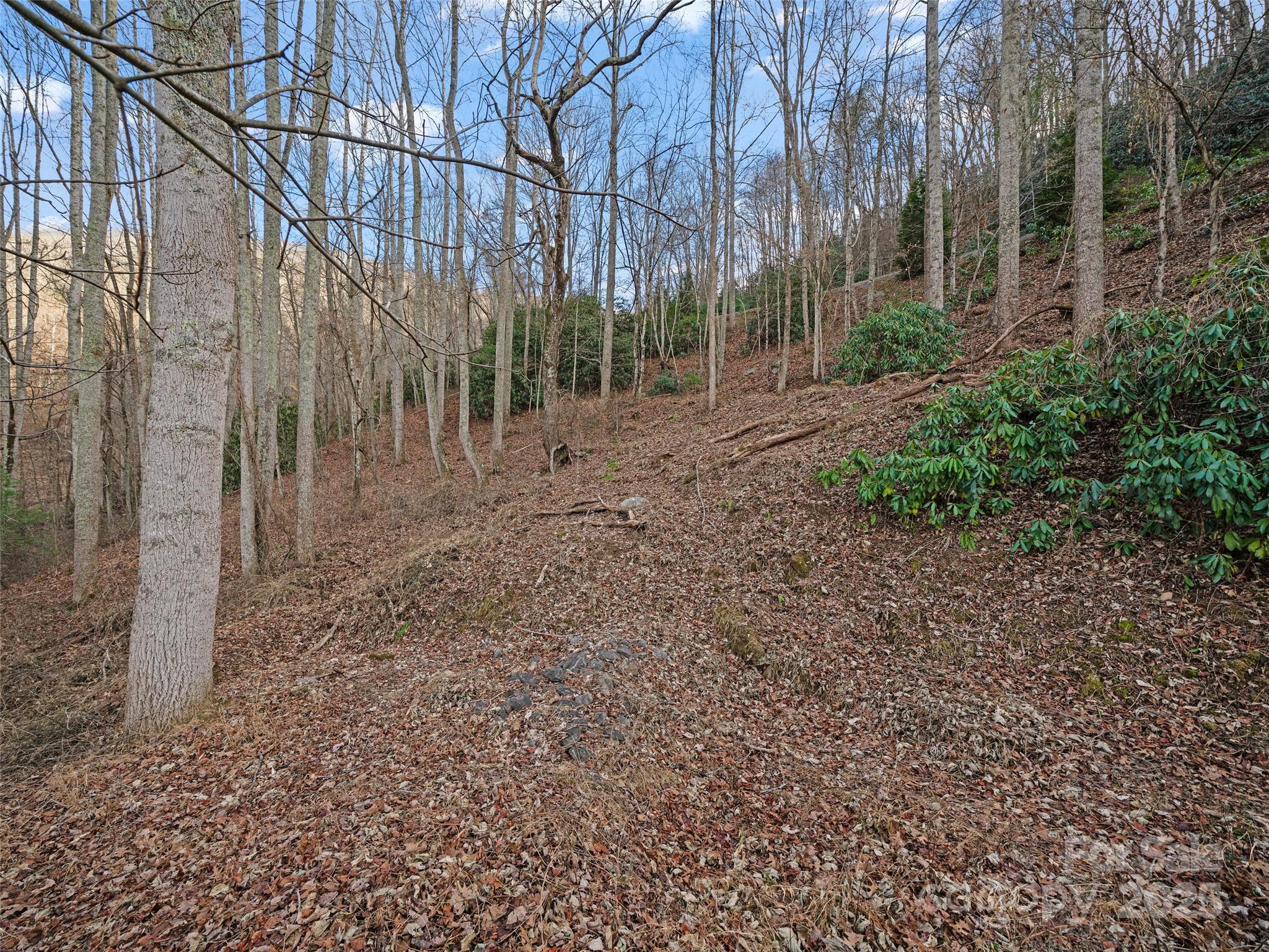 99999 Flora Rose Trail Asheville NC 28803