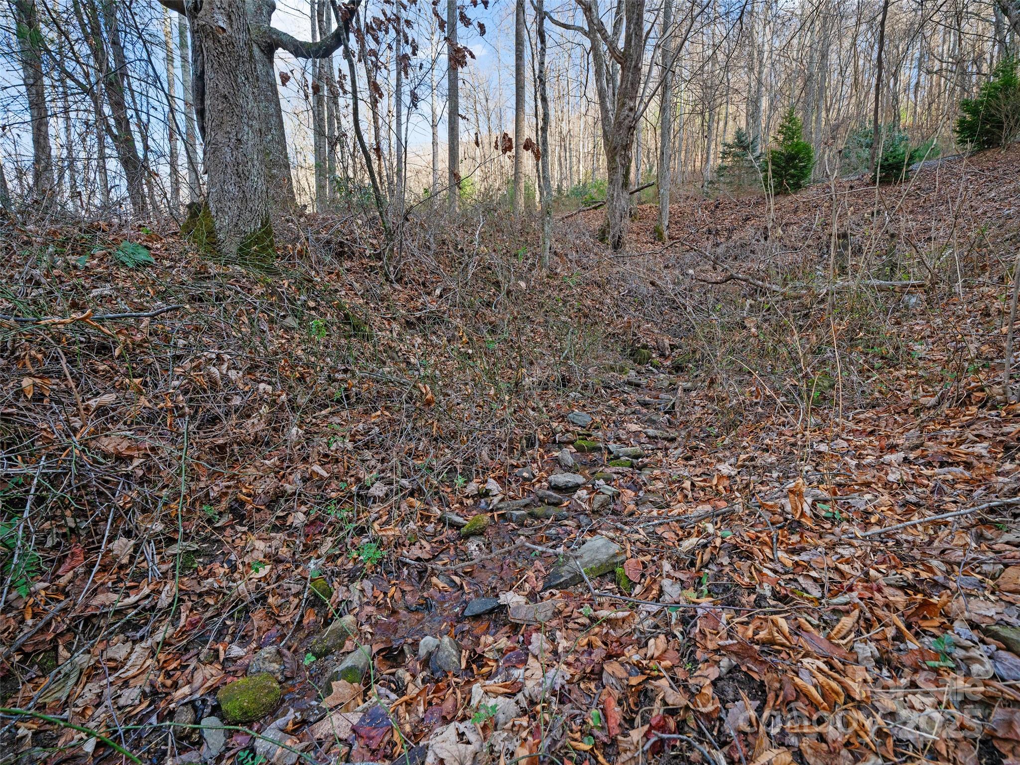 99999 Flora Rose Trail Asheville NC 28803