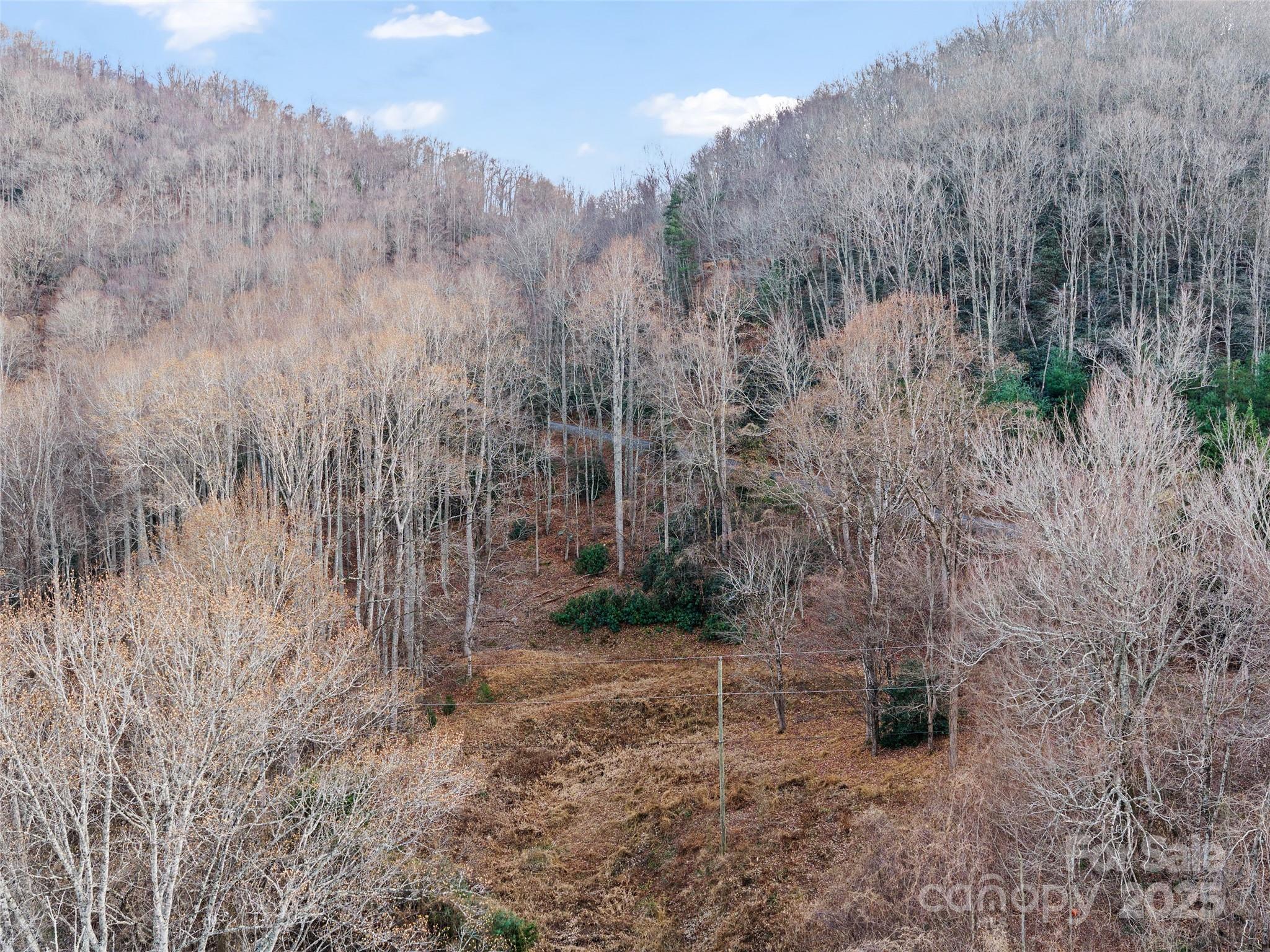 99999 Flora Rose Trail Asheville NC 28803