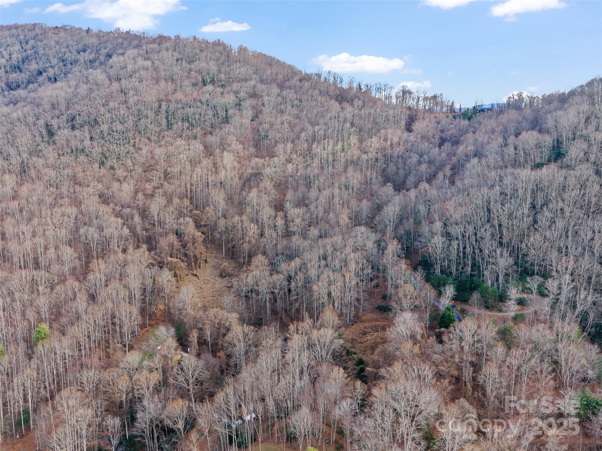 99999 Flora Rose Trail Asheville NC 28803