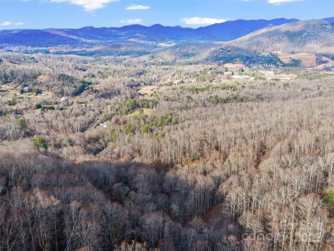 99999 Flora Rose Trail Asheville NC 28803