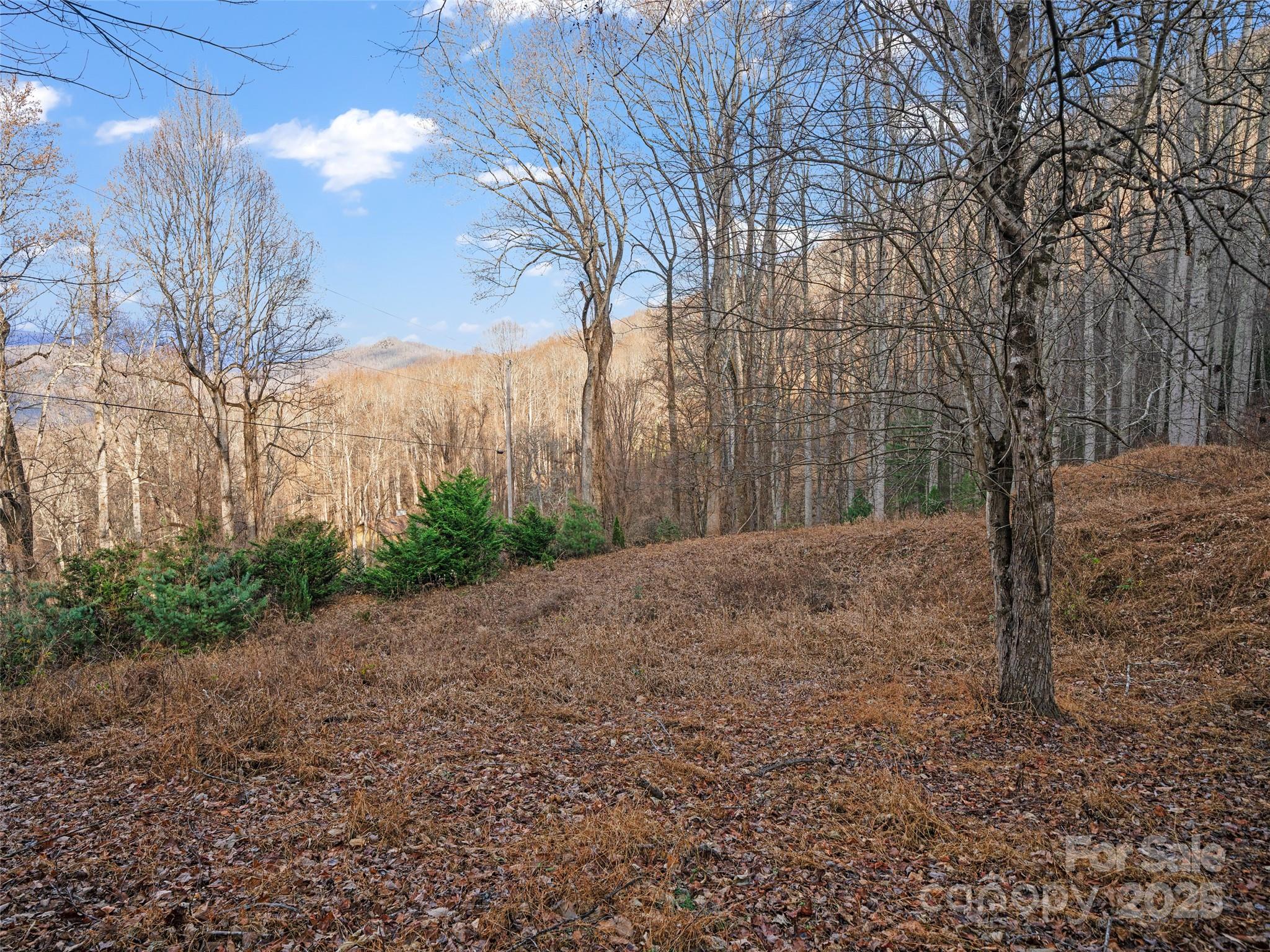 99999 Flora Rose Trail Asheville NC 28803