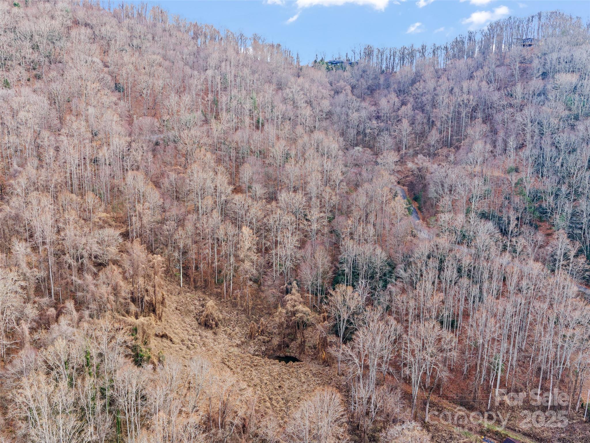 99999 Flora Rose Trail Asheville NC 28803