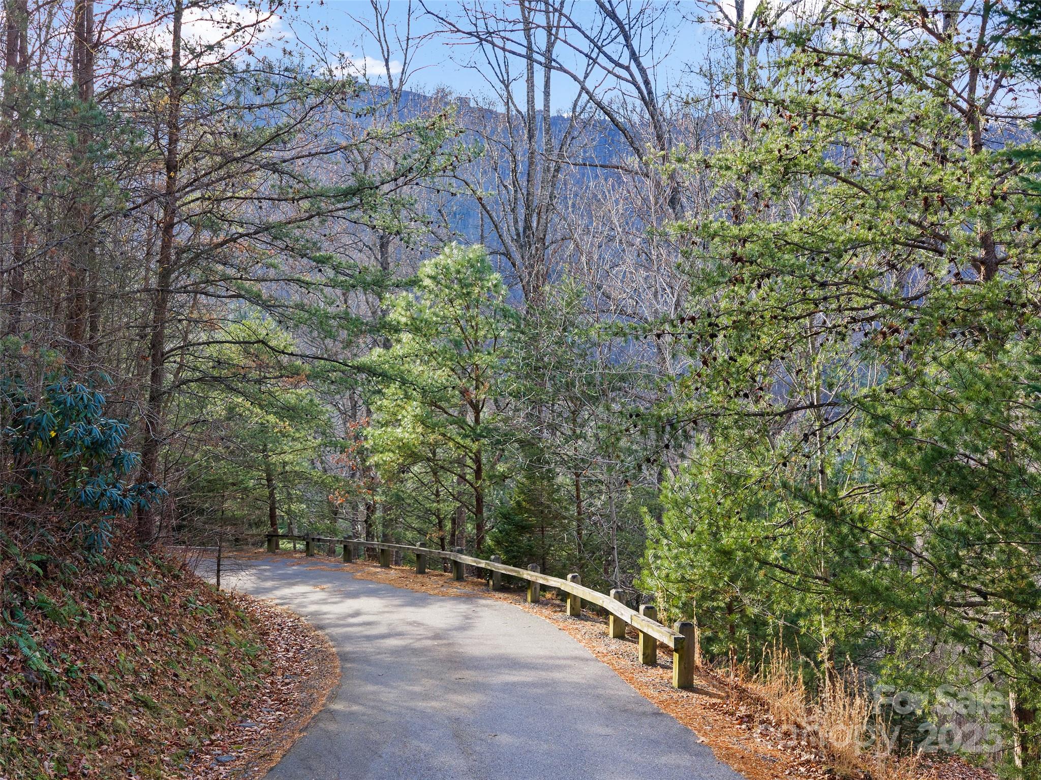99999 Flora Rose Trail Asheville NC 28803