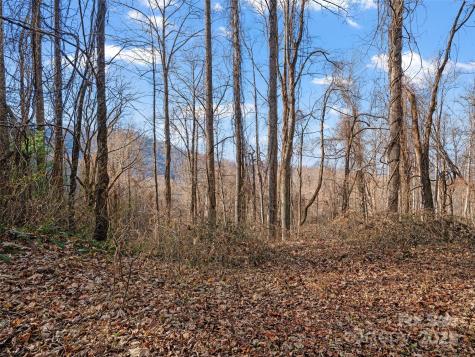99999 Flora Rose Trail Asheville NC 28803