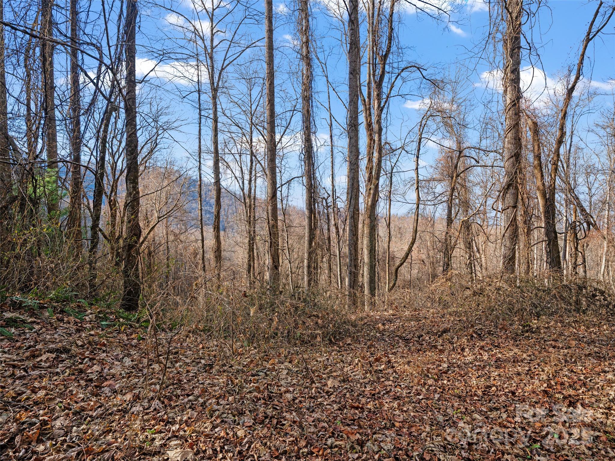 99999 Flora Rose Trail Asheville NC 28803
