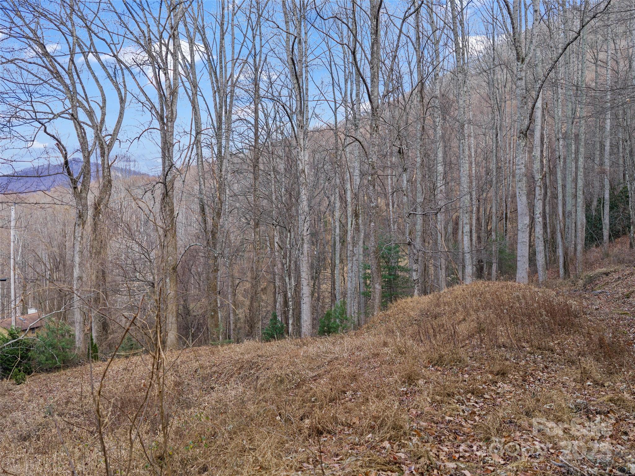 99999 Flora Rose Trail Asheville NC 28803