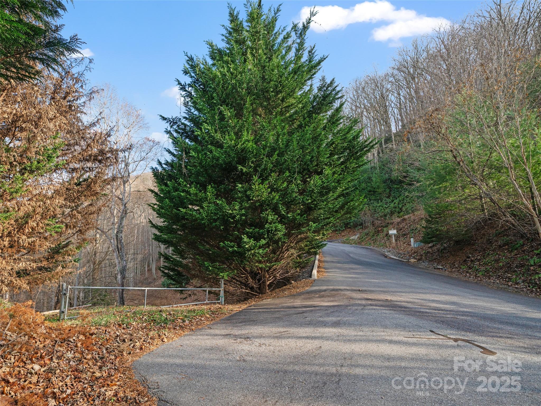 99999 Flora Rose Trail Asheville NC 28803