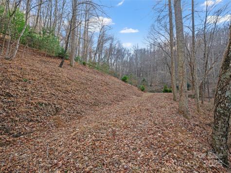 99999 Flora Rose Trail Asheville NC 28803