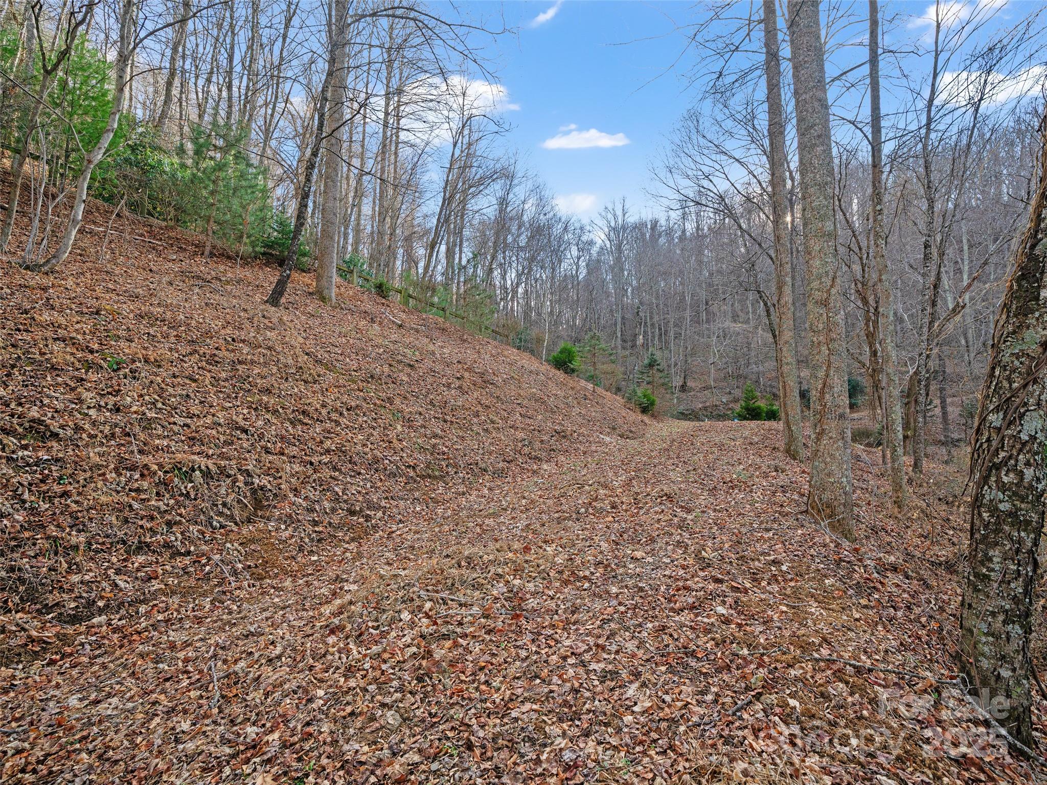 99999 Flora Rose Trail Asheville NC 28803