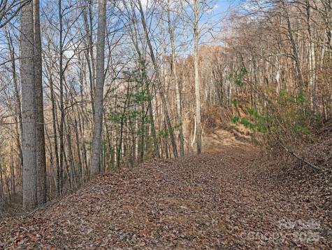 99999 Flora Rose Trail Asheville NC 28803