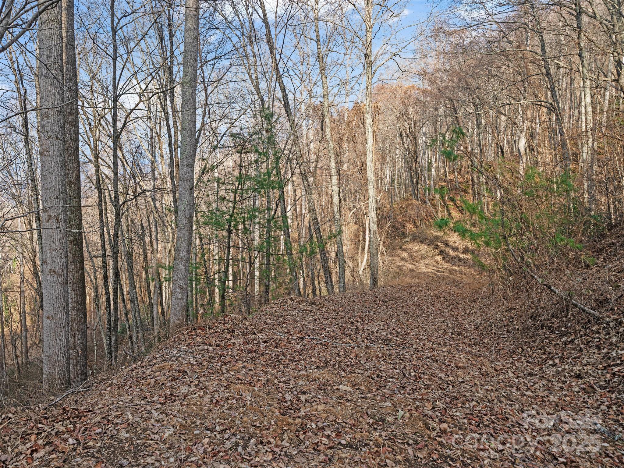 99999 Flora Rose Trail Asheville NC 28803