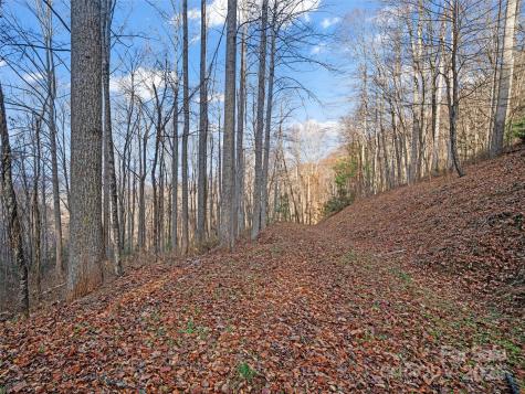99999 Flora Rose Trail Asheville NC 28803