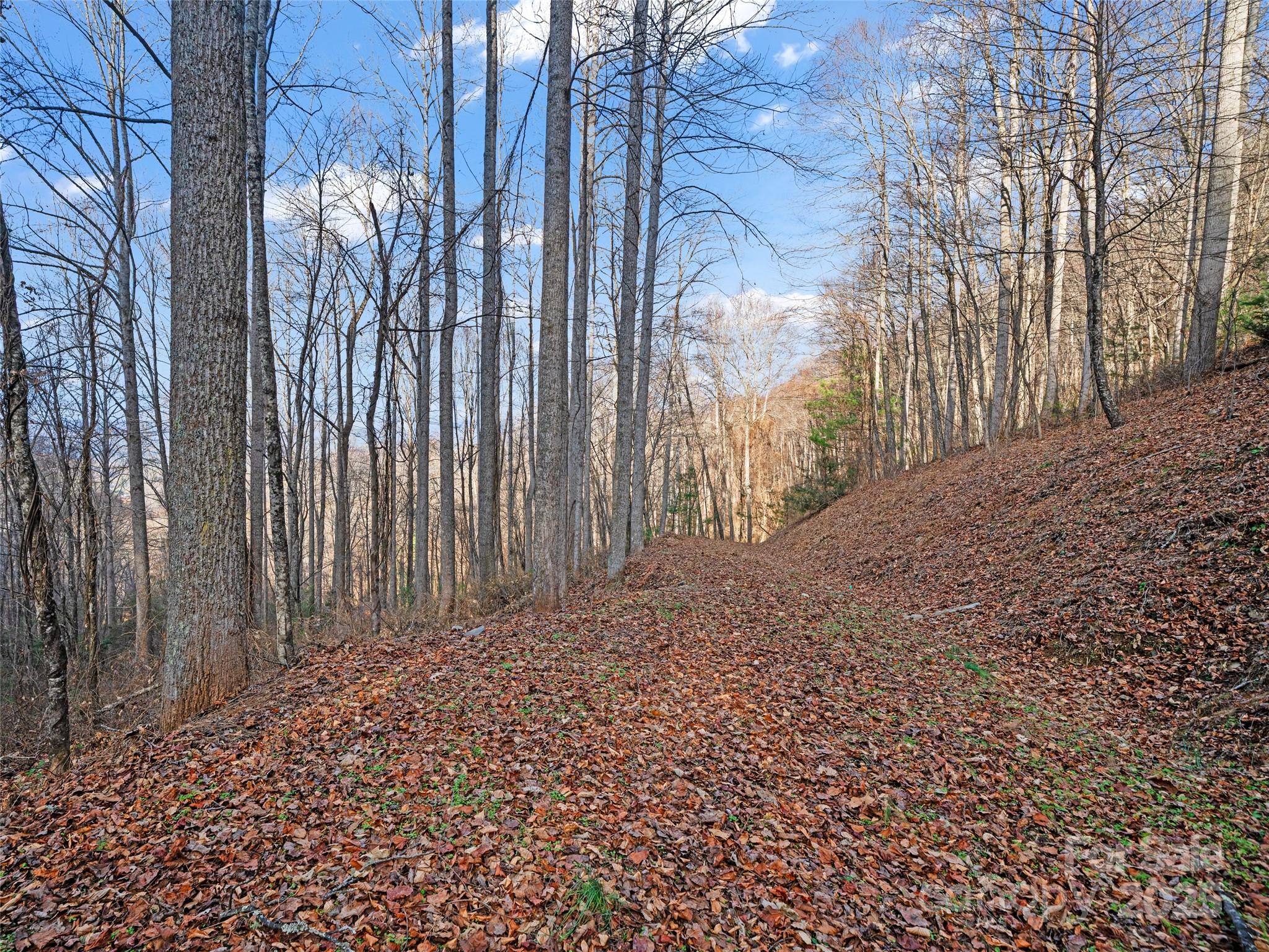 99999 Flora Rose Trail Asheville NC 28803