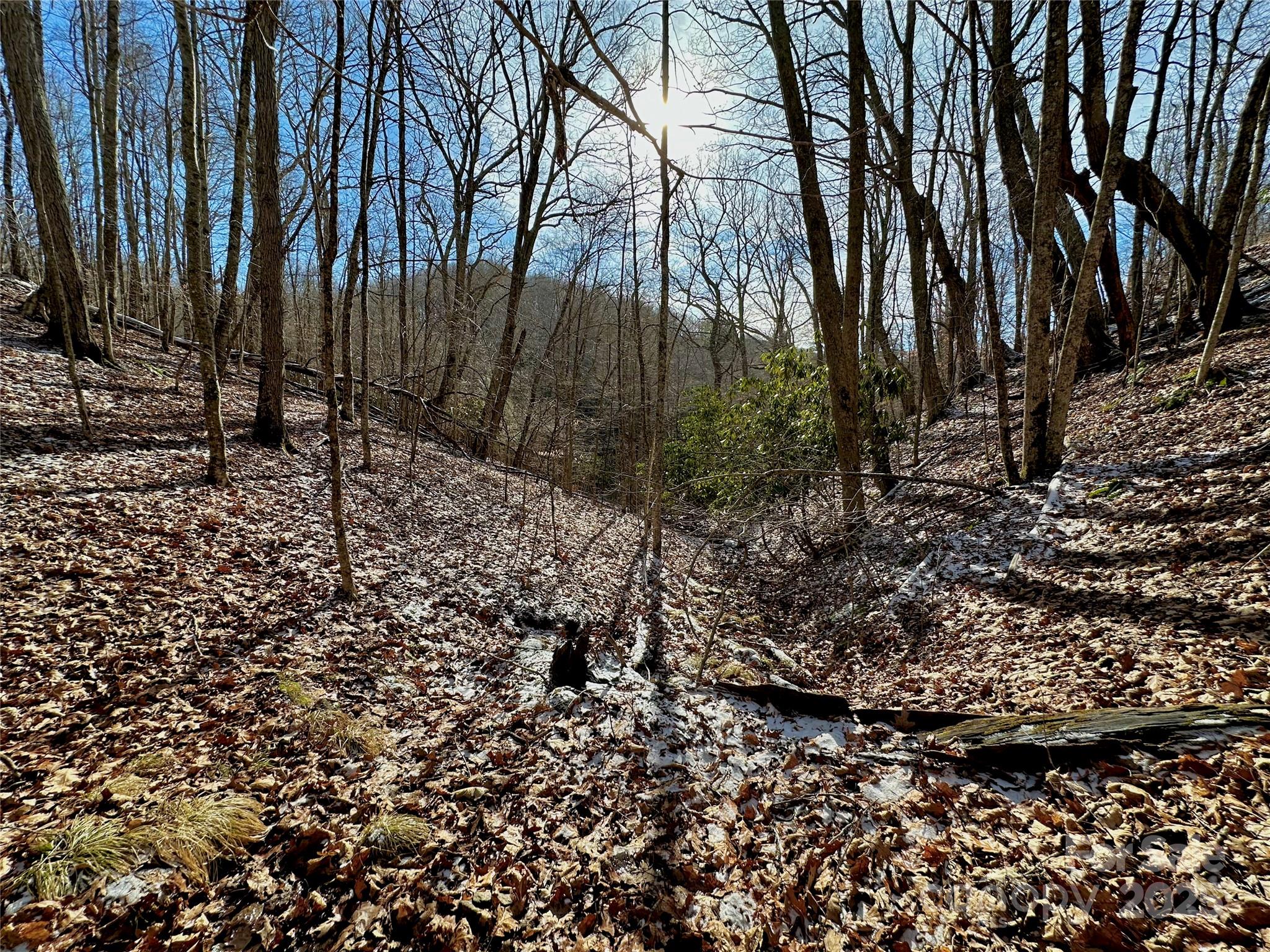 149 Painter Road Banner Elk NC 28604