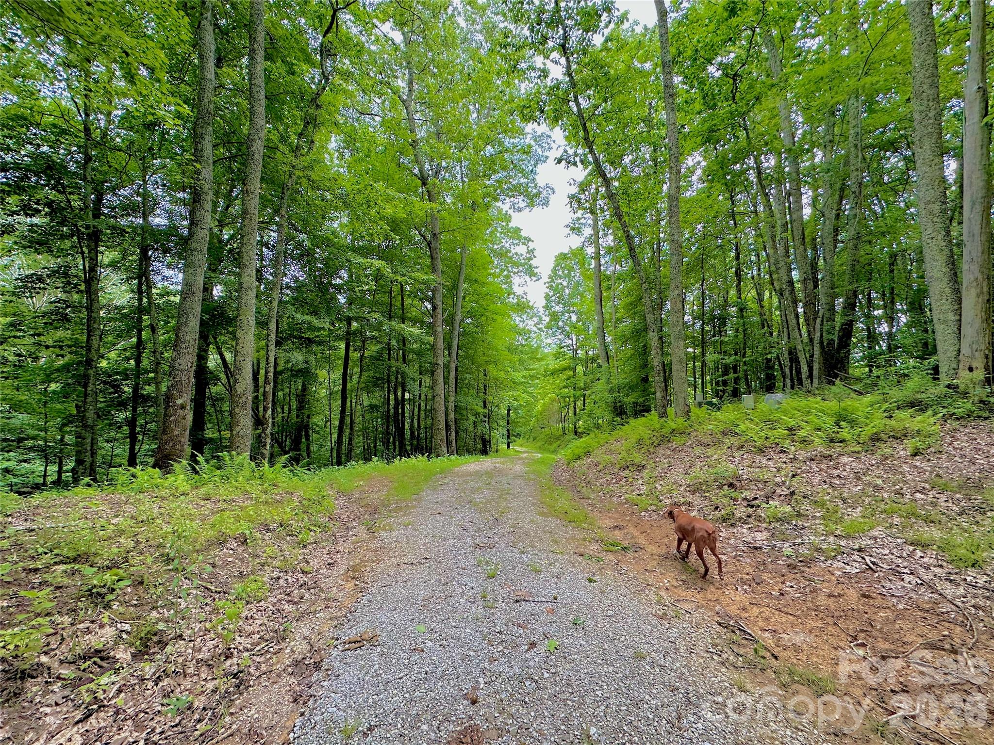 149 Painter Road Banner Elk NC 28604