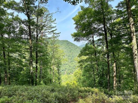 151 Wild Turkey Loop Marshall NC 28753