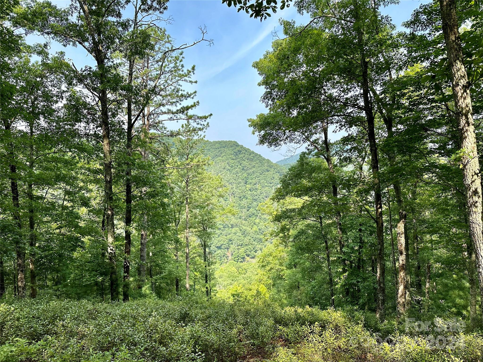 151 Wild Turkey Loop Marshall NC 28753