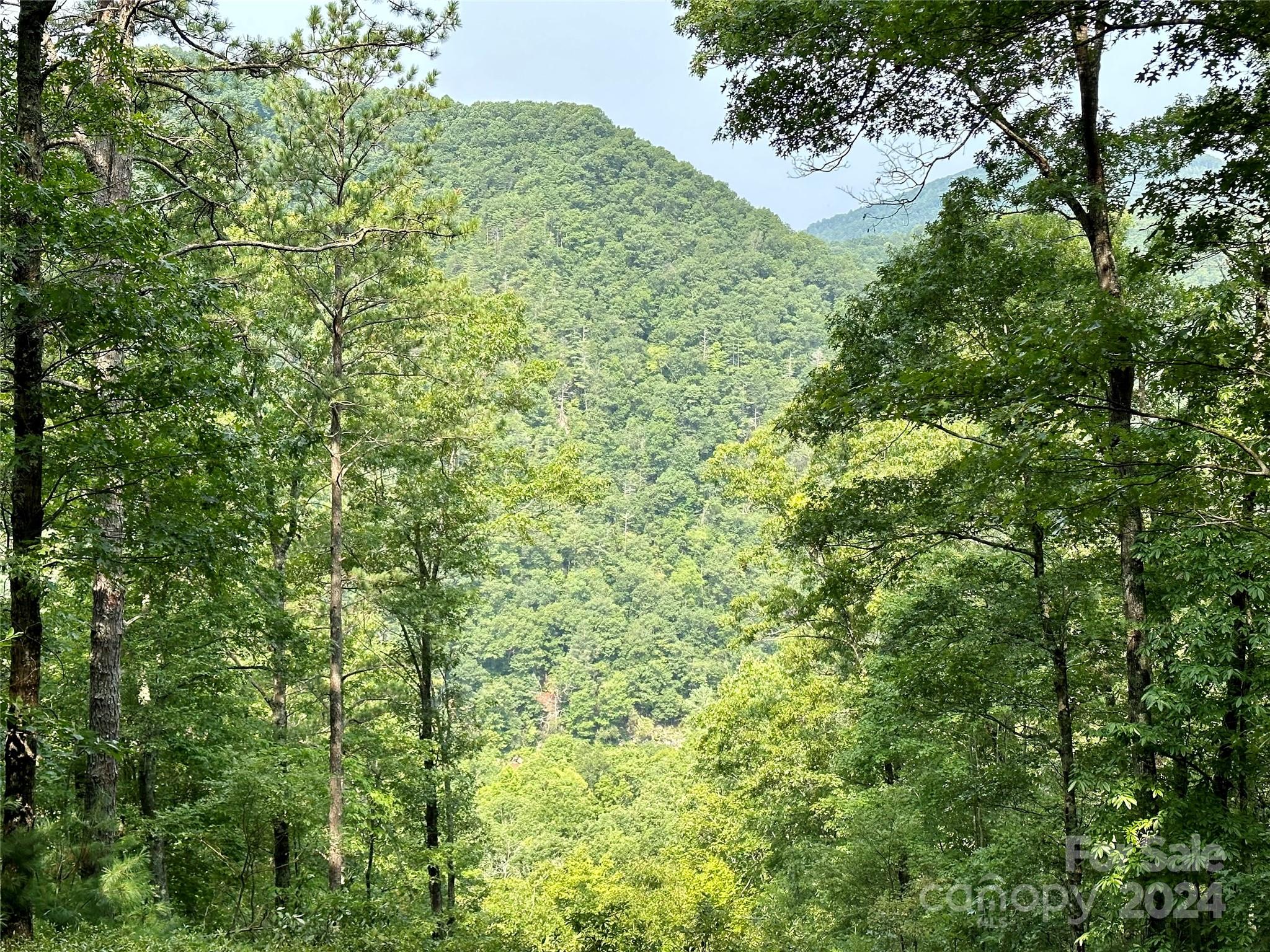 151 Wild Turkey Loop Marshall NC 28753