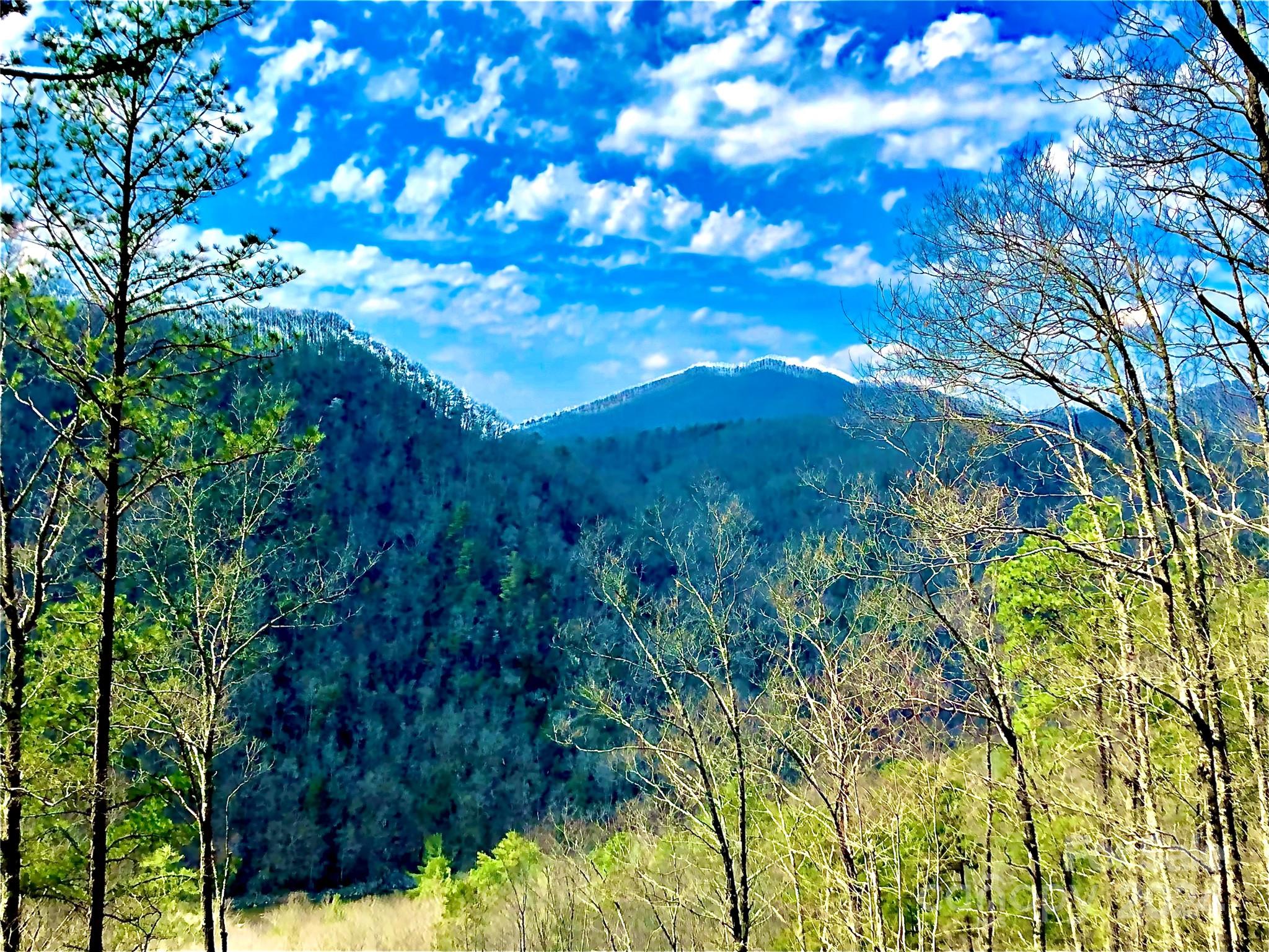 151 Wild Turkey Loop Marshall NC 28753