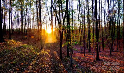 151 Wild Turkey Loop Marshall NC 28753