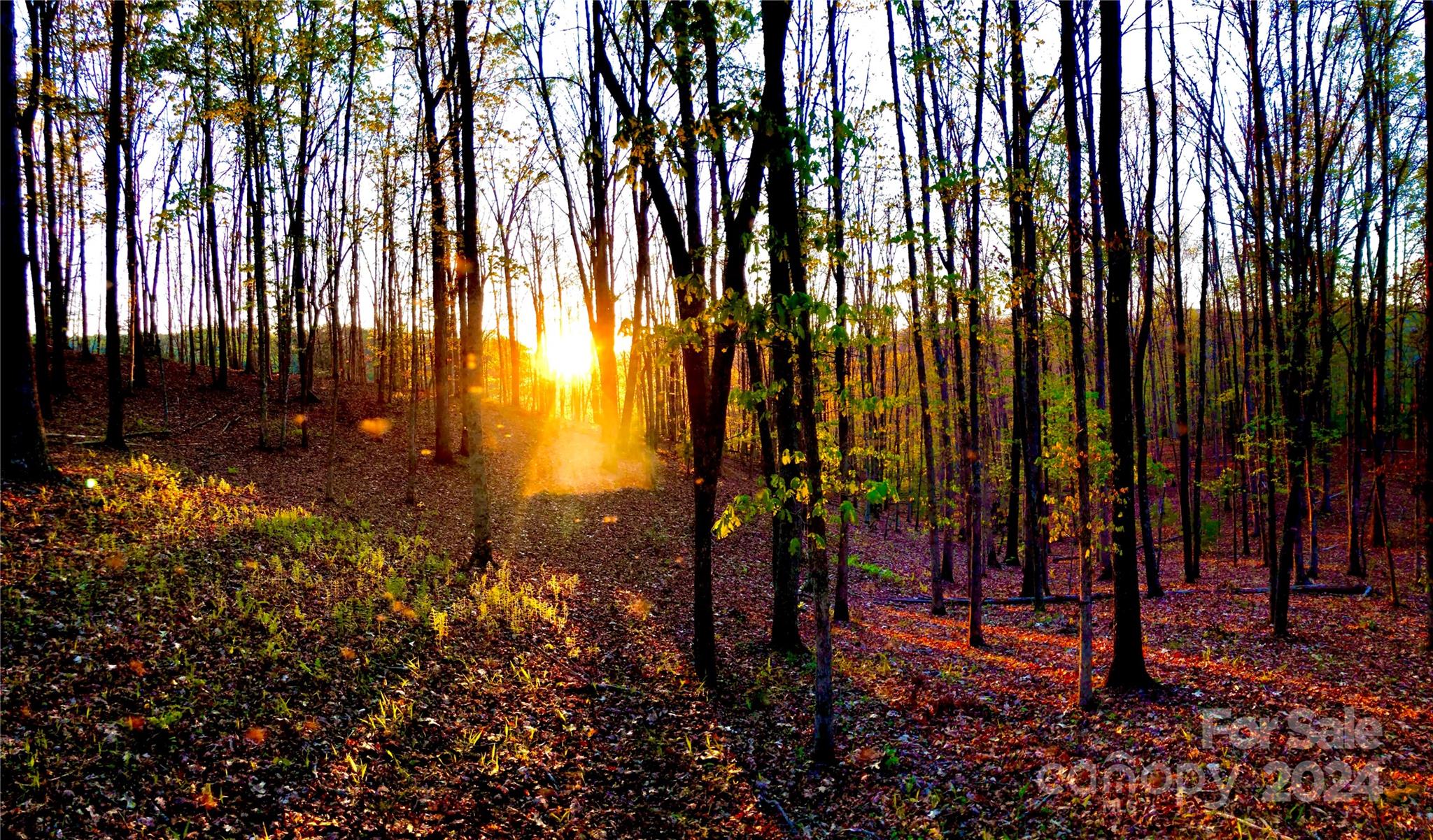 151 Wild Turkey Loop Marshall NC 28753