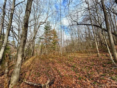 Lot 8 Azalea Way Saluda NC 28773