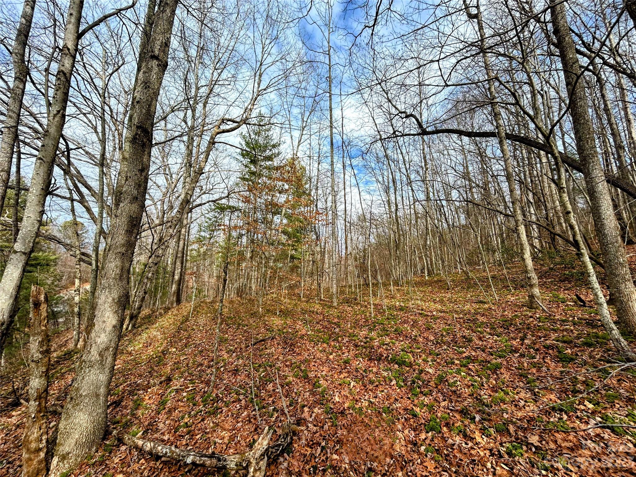 Lot 8 Azalea Way Saluda NC 28773