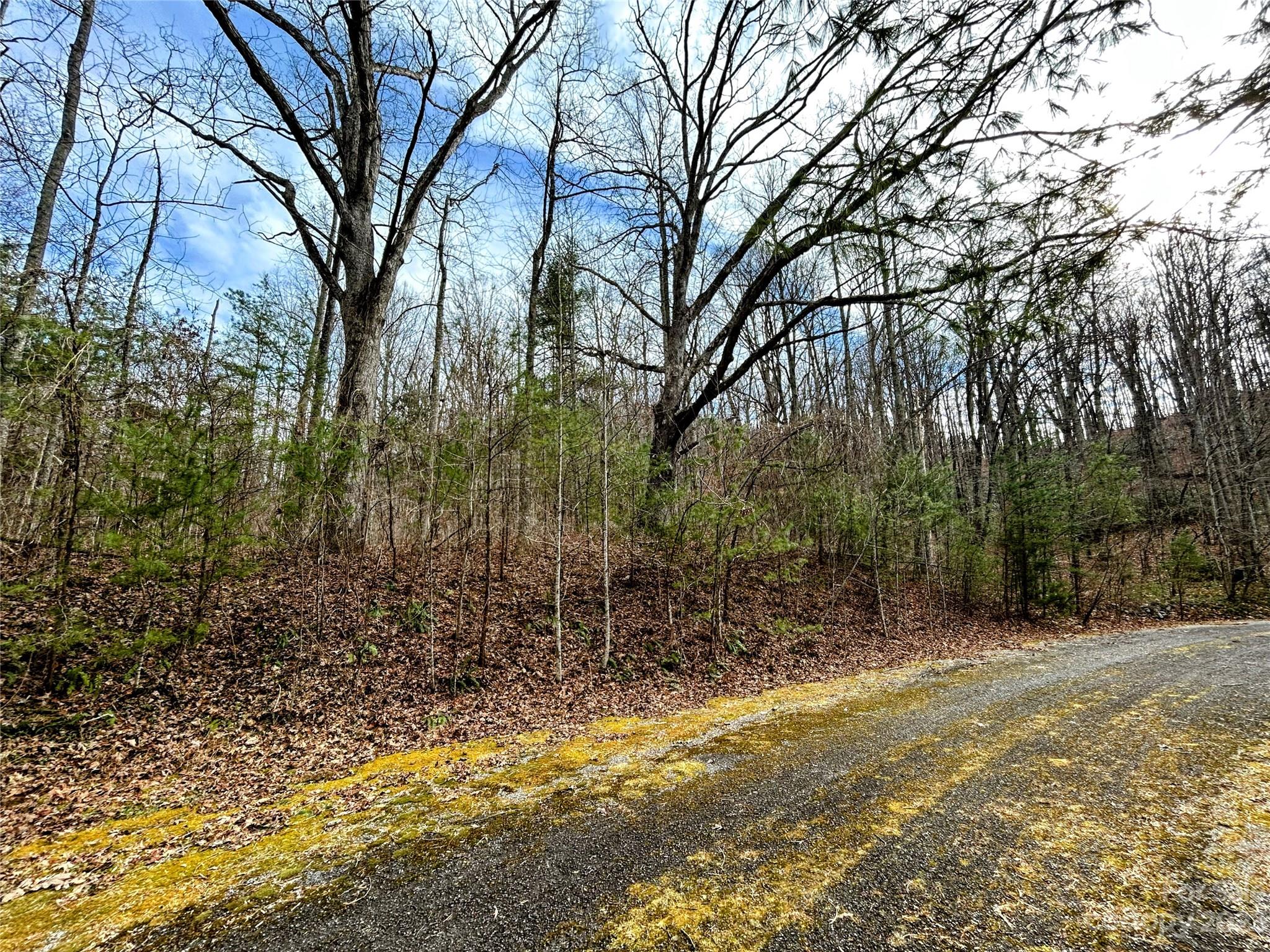 Lot 8 Azalea Way Saluda NC 28773