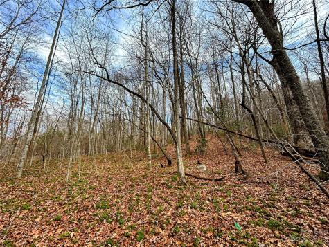 Lot 8 Azalea Way Saluda NC 28773