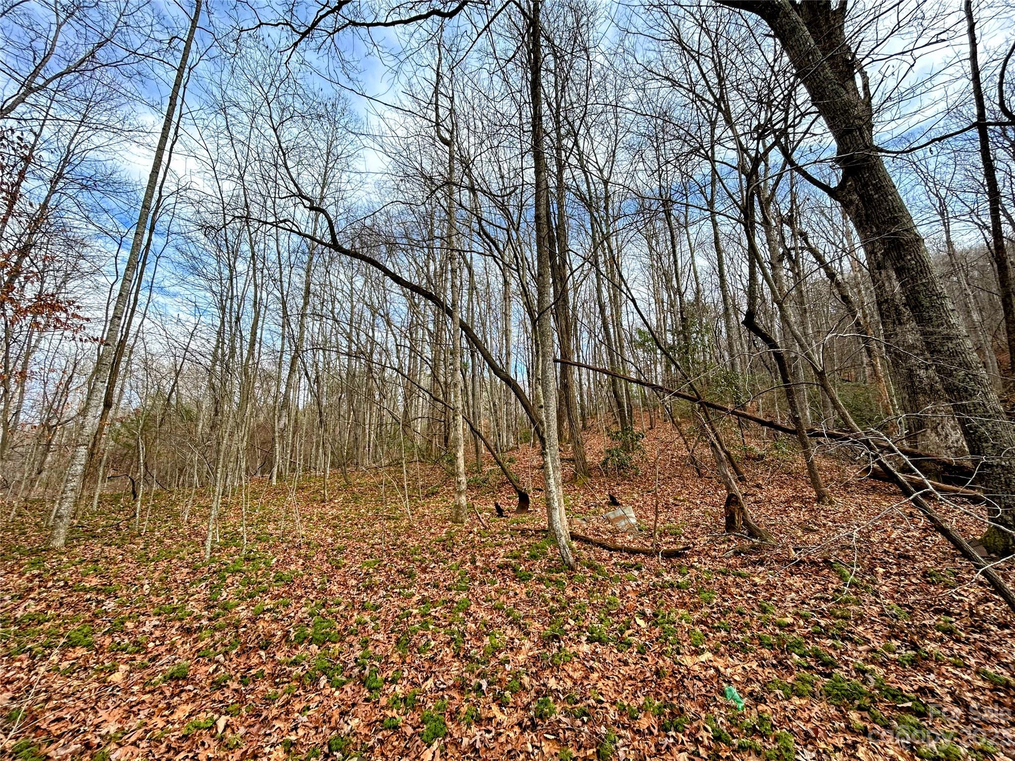 Lot 8 Azalea Way Saluda NC 28773