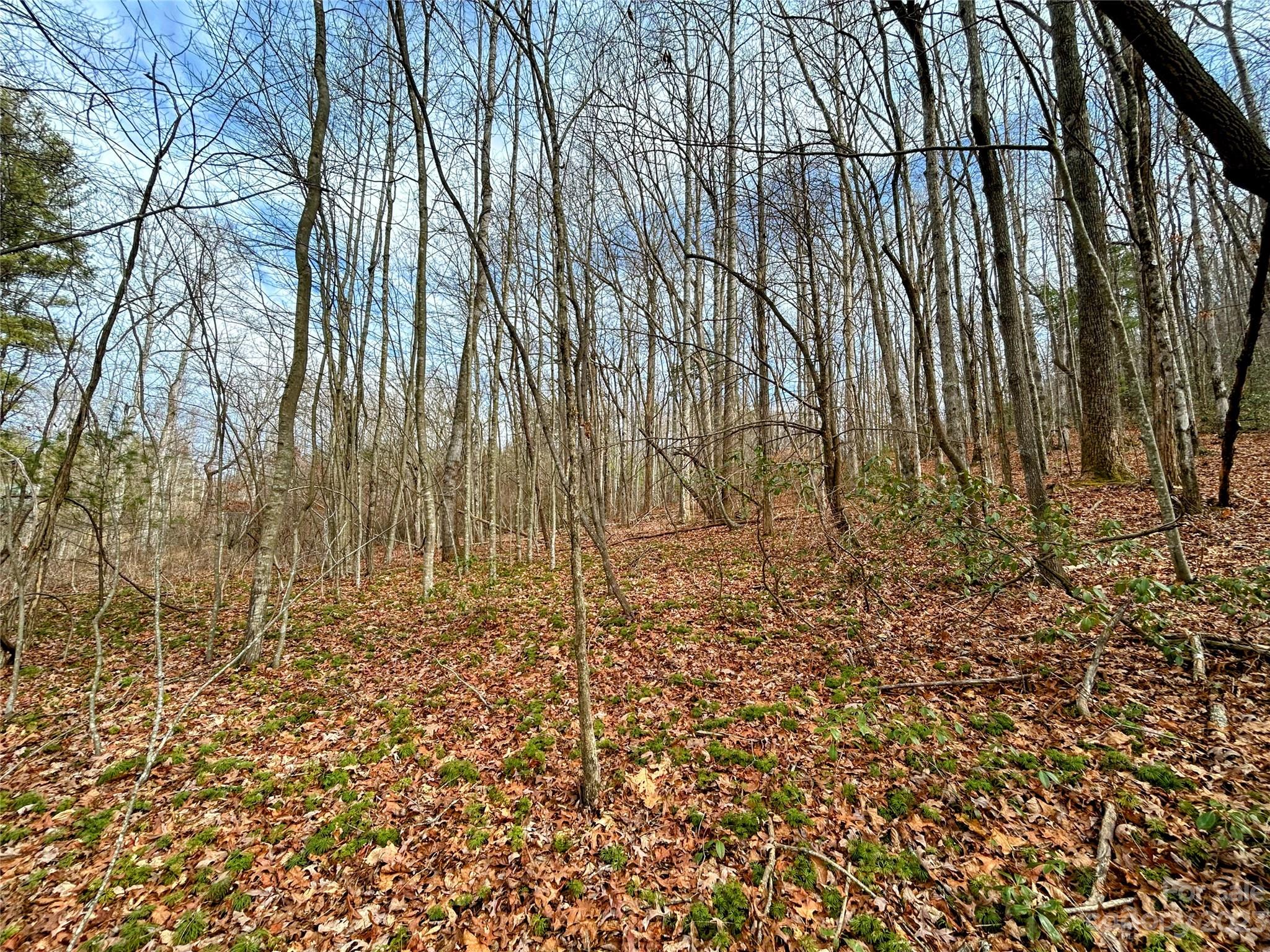 Lot 8 Azalea Way Saluda NC 28773