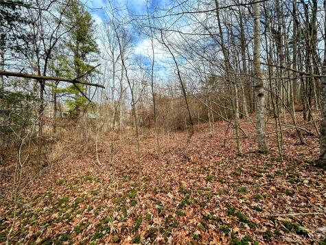 Lot 8 Azalea Way Saluda NC 28773