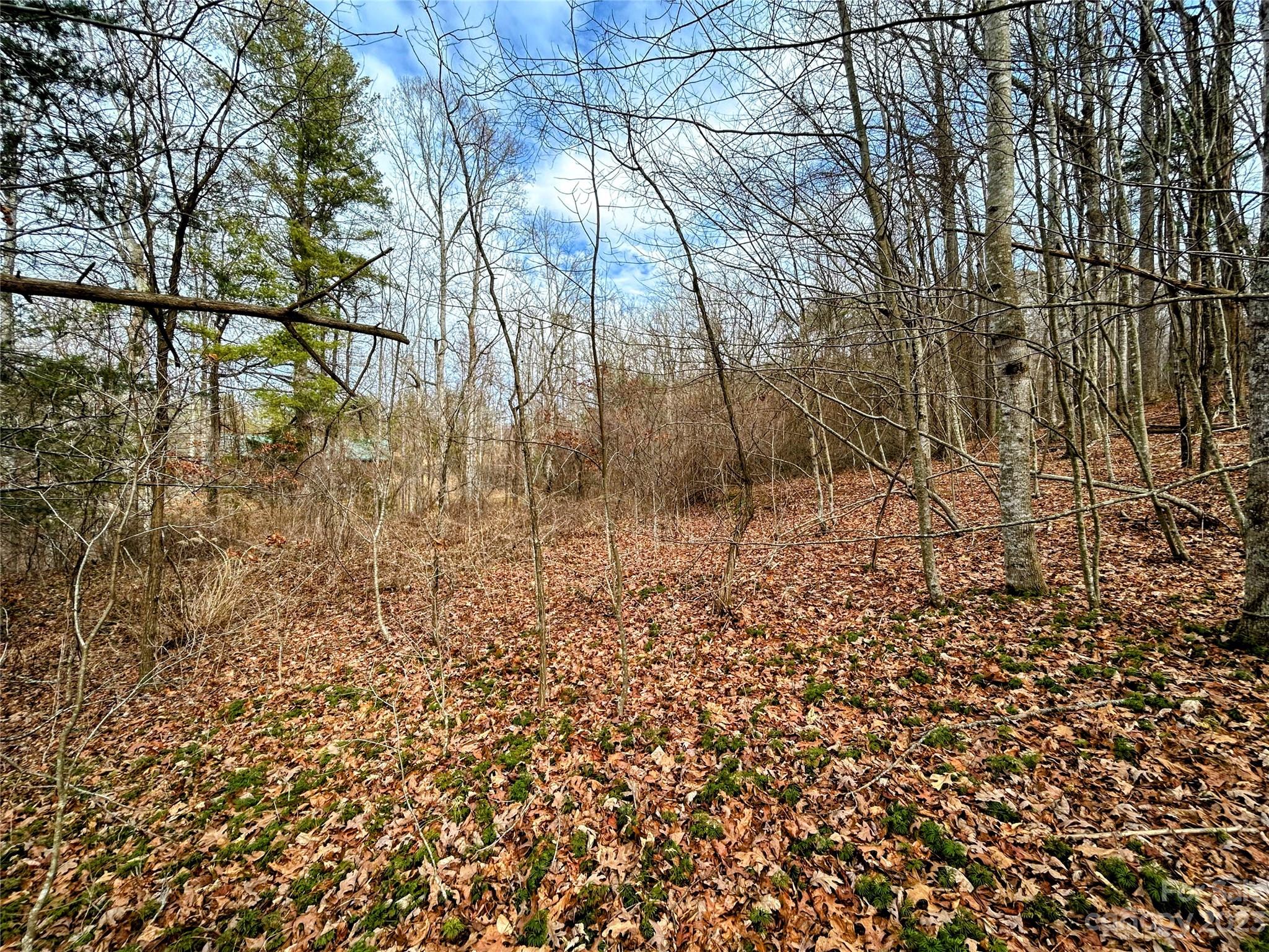 Lot 8 Azalea Way Saluda NC 28773