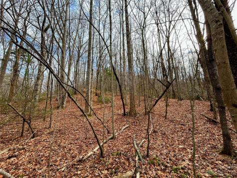 Lot 8 Azalea Way Saluda NC 28773