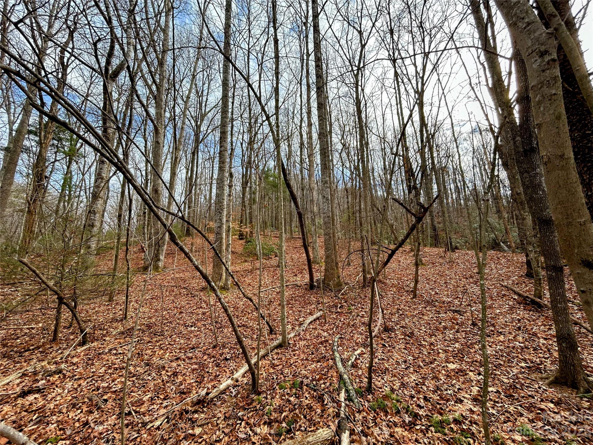 Lot 8 Azalea Way Saluda NC 28773