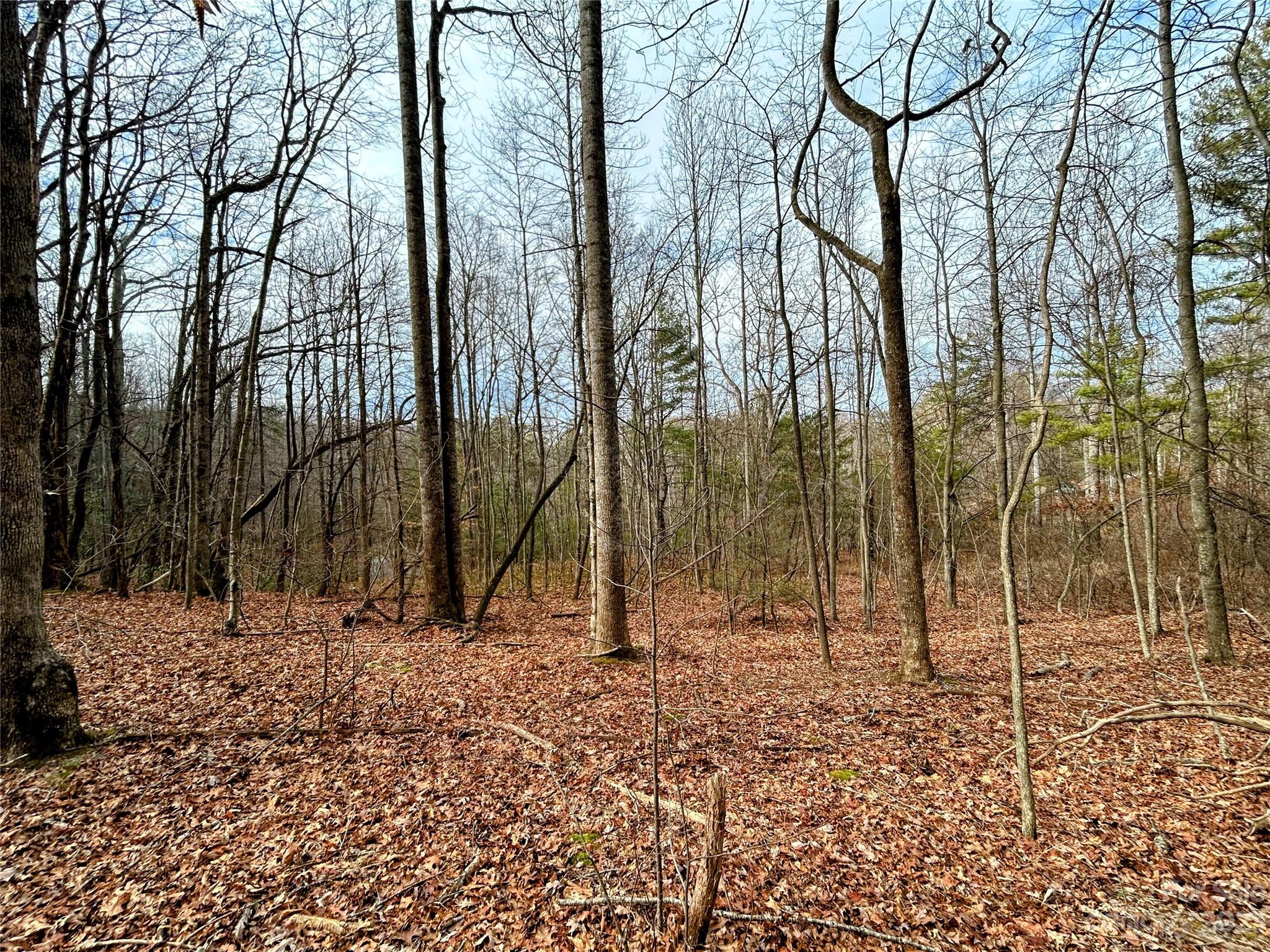 Lot 8 Azalea Way Saluda NC 28773