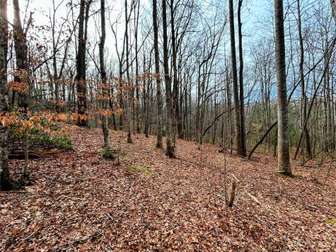 Lot 8 Azalea Way Saluda NC 28773